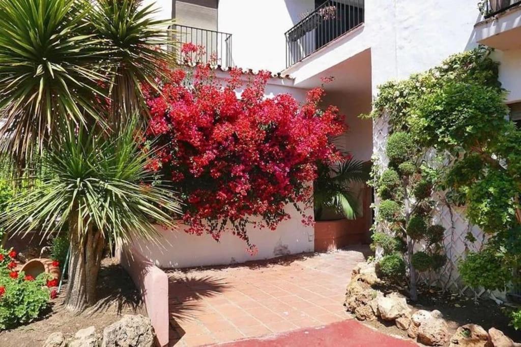 Caprichoso En El Corazon De Puerto Banus * Marbella